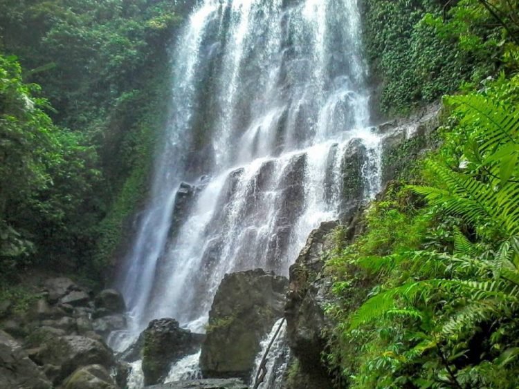 Curug Tunggul Naga: The Hidden Gem of Cilacap's Natural Wonders